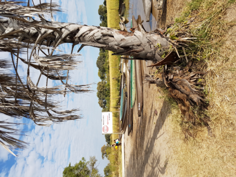 Okavango Delta - Okavangodelta boottrip