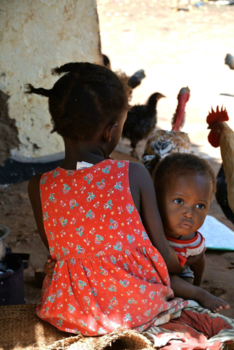 Tanzania - Peek a boo