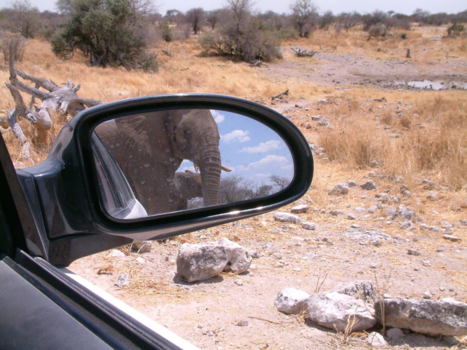 Namibië - Hij keek nog even om............