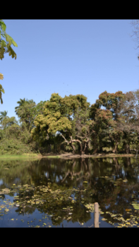 Gambia - the smiling coast of africa