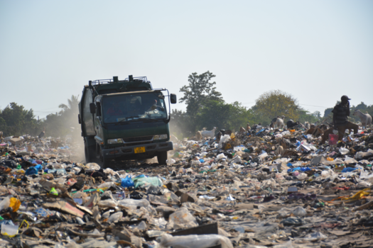 Tanzania - Vuilnisbelt