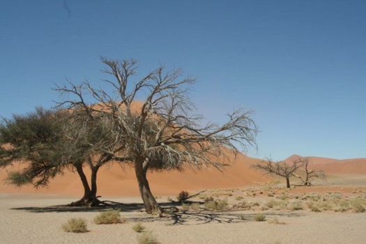 Namibië - Dodenvallei