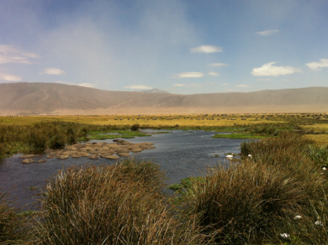 Tanzania - Hemel op aarde