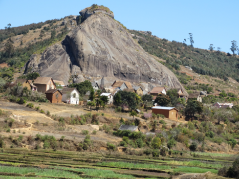Madagaskar - Live under a rock