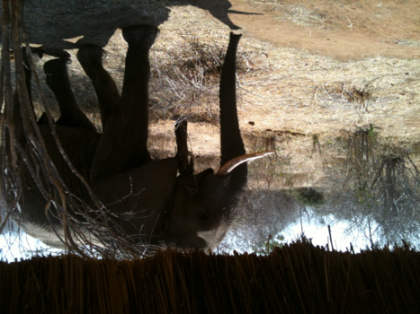 Tanzania - Foto vanuit onze logde