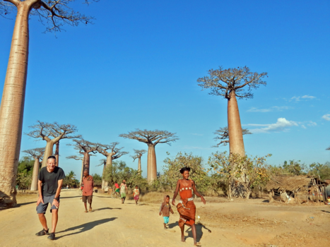 Madagaskar - Avenue des Baobabs