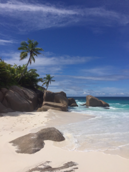 Seychellen - Paradise!