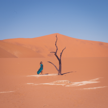 Namibië - Eenvoud is de ultieme vorm van perfectie (Leonardo da Vinci)