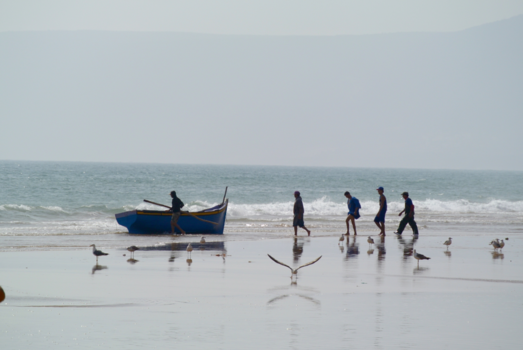 Marokko - Fresh fish