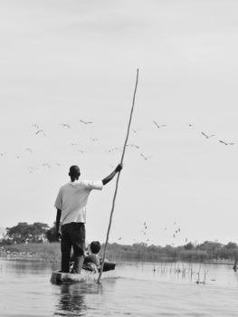 Botswana - Okavango delta