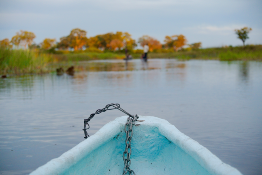 Botswana - Okavango delta