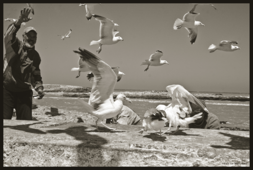 Essaouira - Vissers aan de Atlantische oceaan.