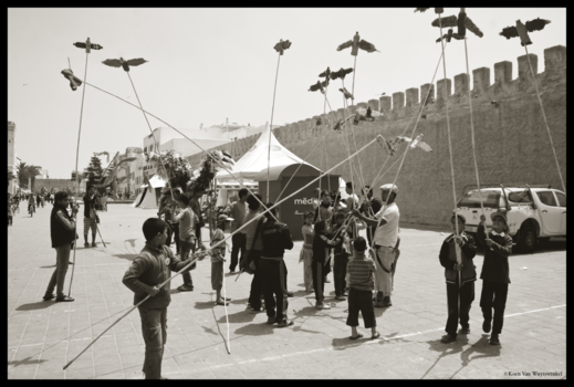 Essaouira - De vliegeniers.