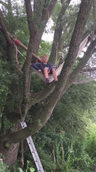 Egypte - in deze tijd van WiFi digi en noem maar op..zit mijn trots in een boom, echt top