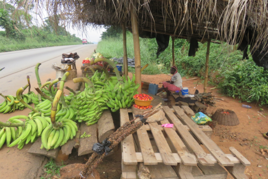 Ghana - Van Accra naar Kumasi