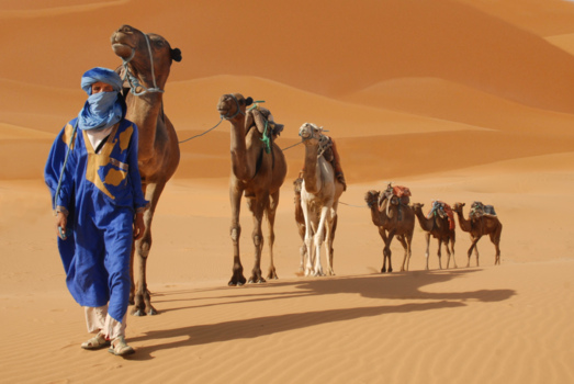 Merzouga - kamelenrij