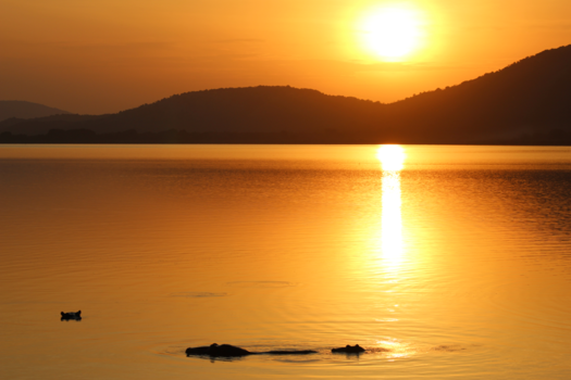 Oeganda - Zonsondergang met de nijlpaarden