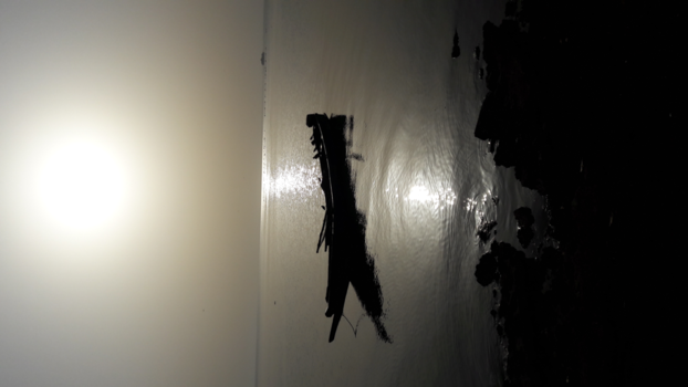 Gambia - Morninglight   #  Albreda