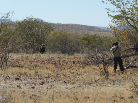 Namibië - Grootberg Rhino trekking