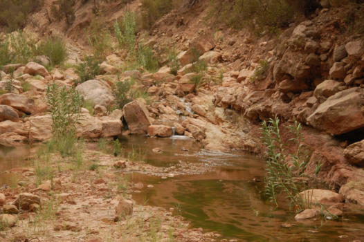 Marokko - oase in het Atlas gebergte