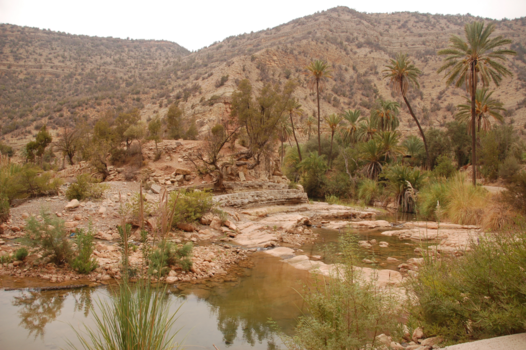 Marokko - oase Atlas gebergte