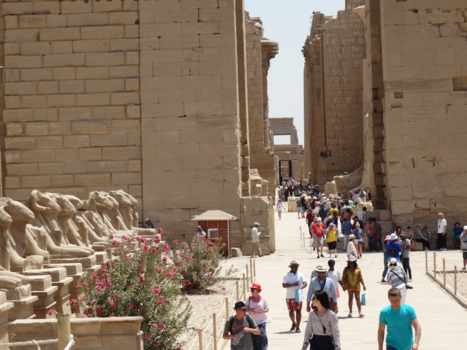 Egypte - Een rij van sfinxen