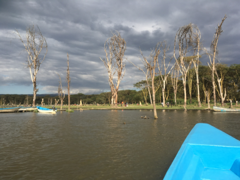 Kenia - Lake Naivasha