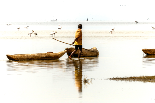 Tanzania - Lake Manyara