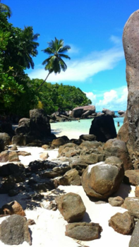 Seychellen - Anse Royale