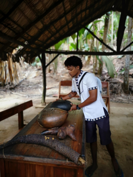 Seychellen - Coco de Mer