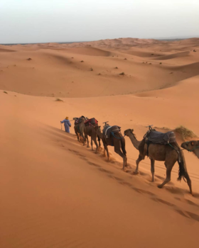 Merzouga - A day in the desert