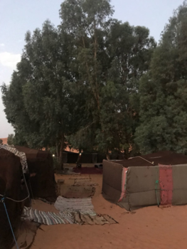 Merzouga - Het tentenkamp