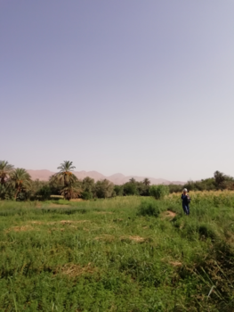 Marokko - Ouarzazate