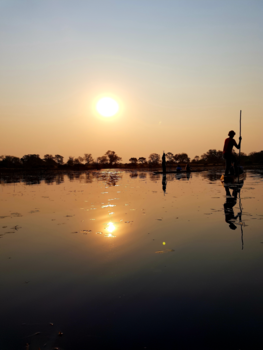 Okavango Delta - Okavango Magic