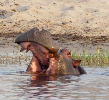 Botswana - even een luchtje scheppen