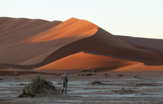 Namib-Naukluft National Park - Eenzaam maar niet alleen