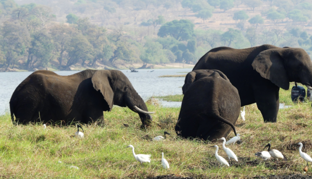 Botswana - even een voetenbad nemen