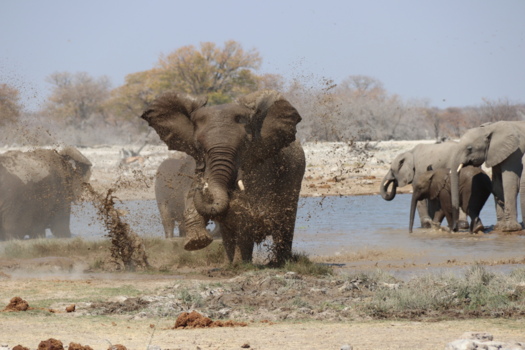 Namibië - Badje nemen