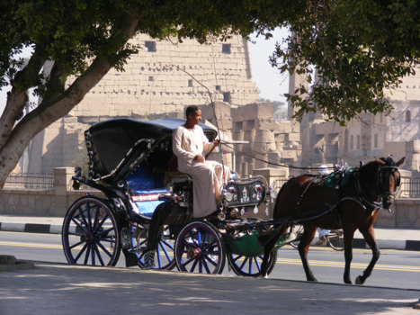 Egypte - Bij de Luxor Tempel....  boulevard