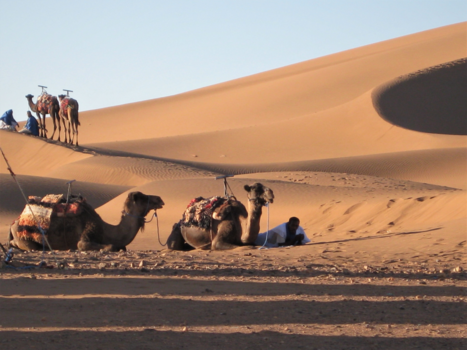 Marrakesh - woestijn Marocco