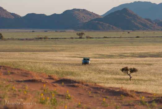 Namibië - Uitzicht woestijn na regenseizoen
