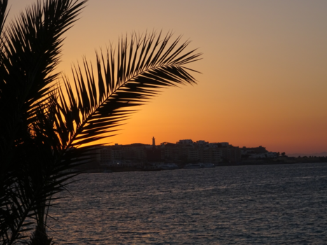 Egypte - Life feels like a painting sometimes