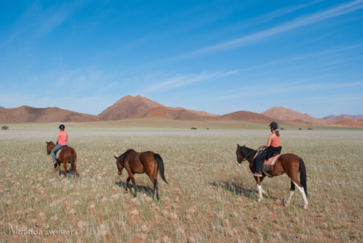 Namibië - Te paard de wildernis verkennen