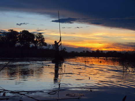Okavango Delta - In de mokoro terug naar ons kamp