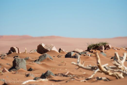 Namibië - Woenstijngrond