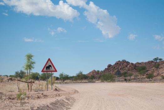 Namibië - Pas op voor overstekend wild