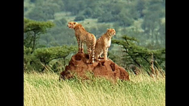 Tanzania - Schoonheid.