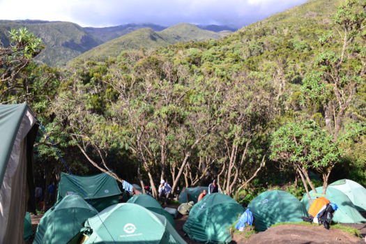 Kilimanjaro - Machame Camp 3000m. hoogte