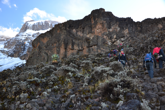 Kilimanjaro - "Great Baranco Wall"