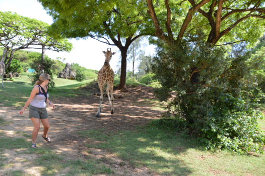 Kenia - Samen met de giraf in het haller park in mombasa